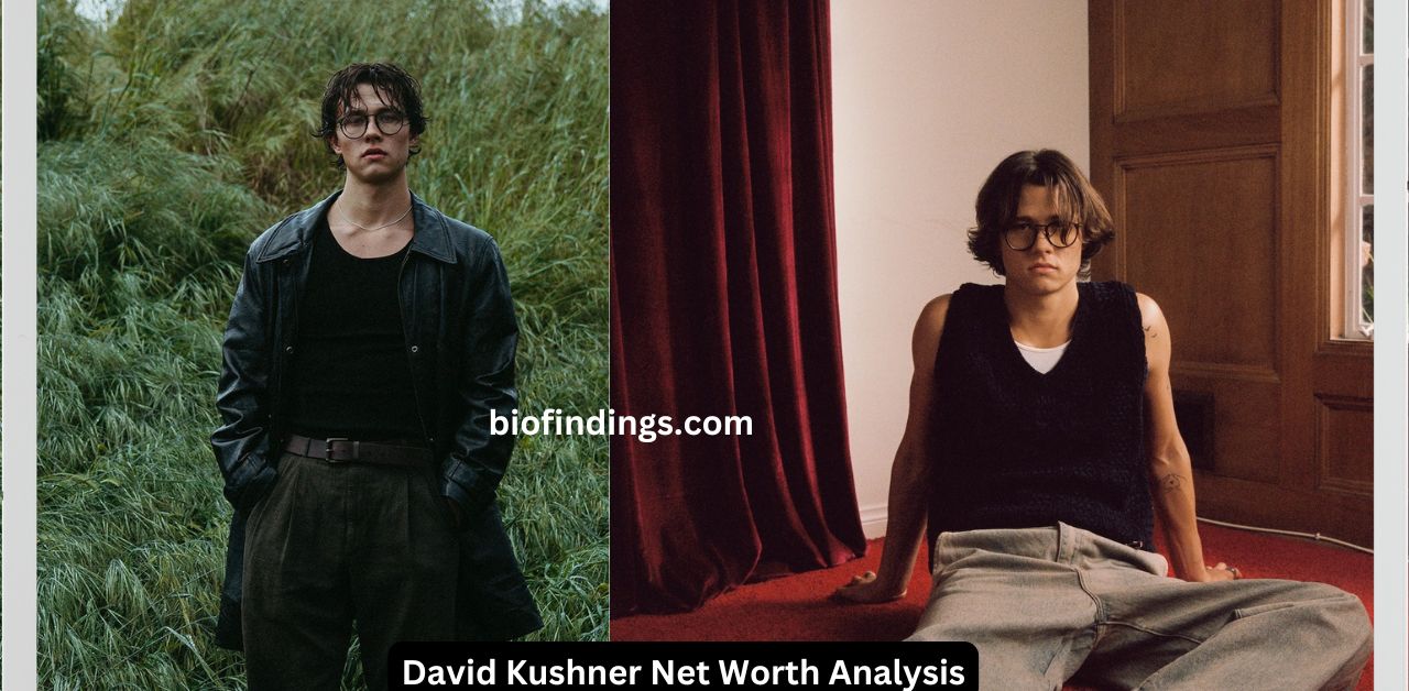 David Kushner Net Worth Analysis