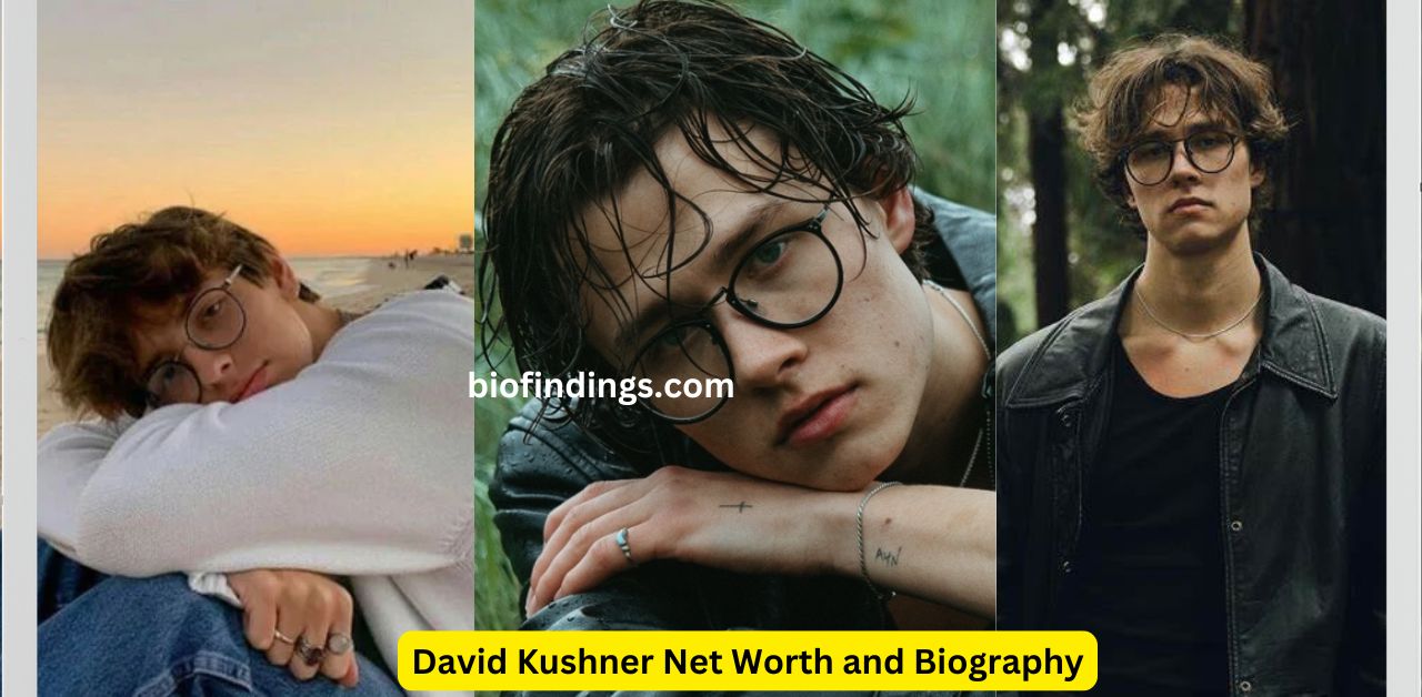 David Kushner Net Worth and Biography A Deep Dive into His Life, Career, and Success