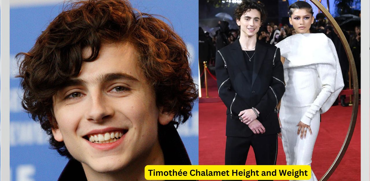 Timothée Chalamet Height and Weight Exploring the Real Stats