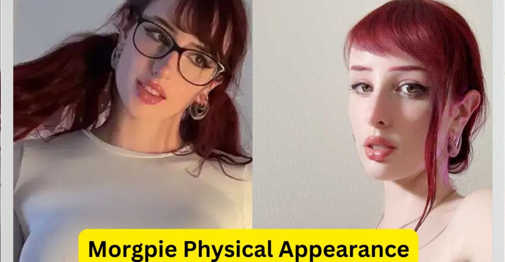 Morgpie Height, Weight, and Physical Appearance