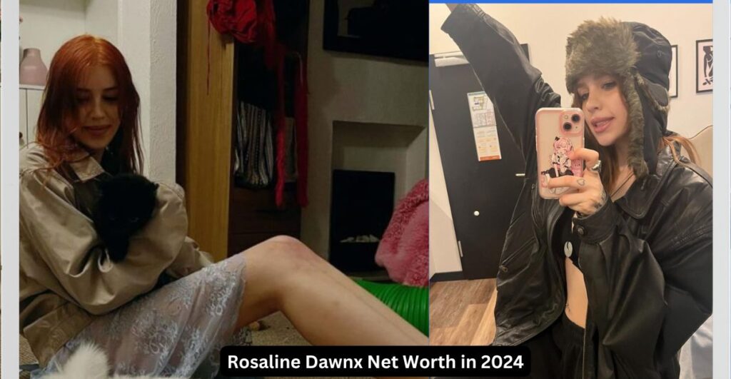 Rosaline Dawnx Net Worth in 2024